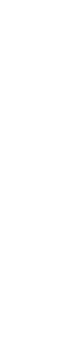 Transparent-Logo-SIDE